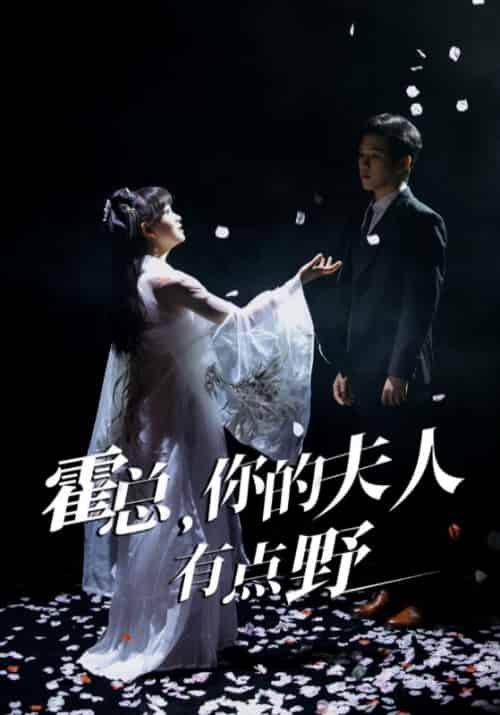 霍总,你的夫人有点野(51集全)霍君霆&江小宁-初遇资源网