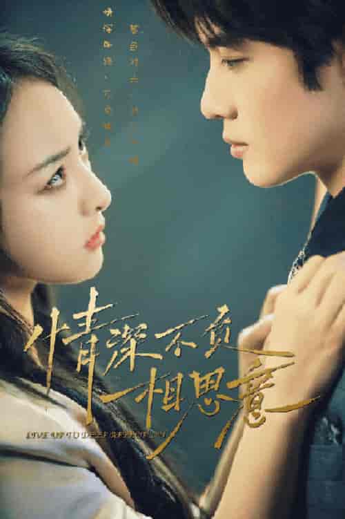 情深不负相思意(90集)索菲-初遇资源网