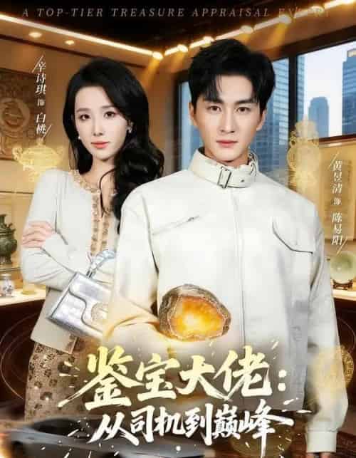 鉴宝大佬： 从司机到巅峰（80集全）黄昱清＆辛诗琪-初遇资源网