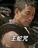 王蛇咒（24集全）-初遇资源网