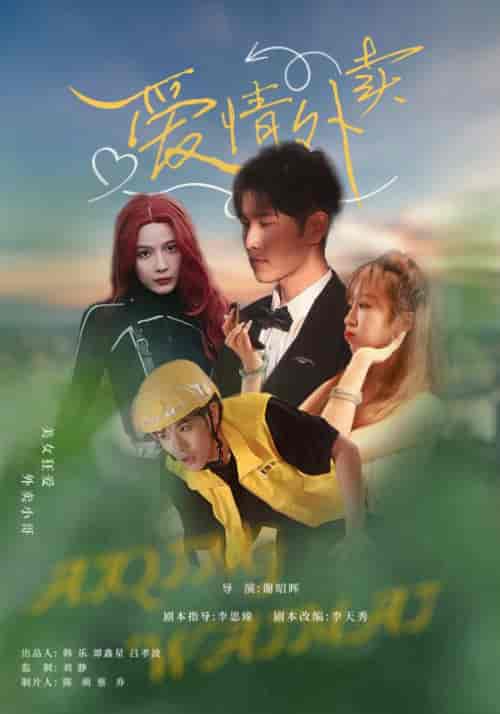 爱情外卖（31集全）卫大宝＆苏敏-初遇资源网