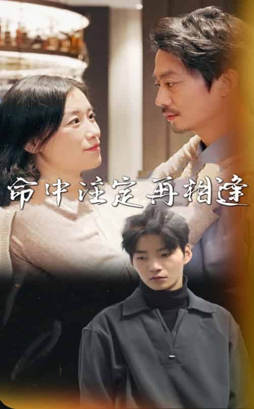 命中注定再相逢（39集全）-初遇资源网