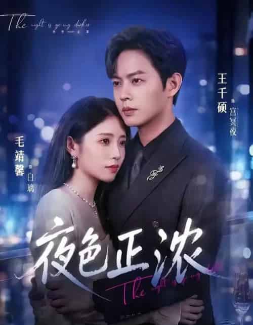夜色正浓（65集全）王千硕＆毛靖馨 - 夸克短剧
