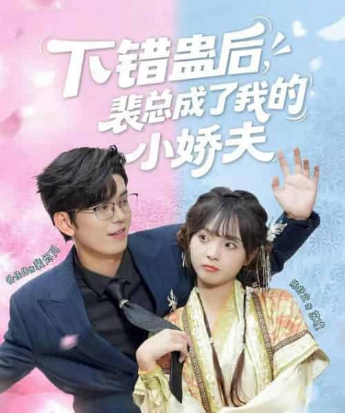 下错蛊后，裴总成了我的小娇夫（62集全）徐佳伟＆陈舒宜-初遇资源网