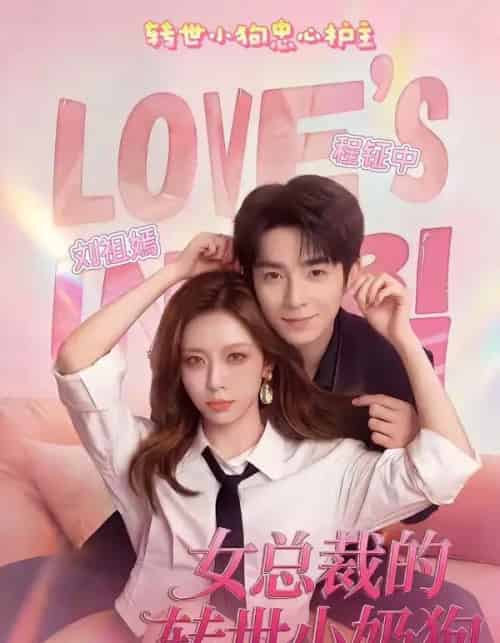 女总裁的转世小奶狗（30集全）程钲中＆刘祖嫣-初遇资源网