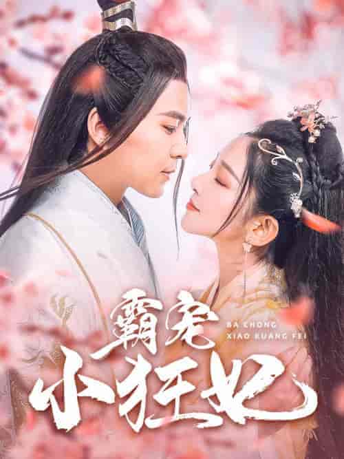 霸宠小狂妃（32集全）-初遇资源网