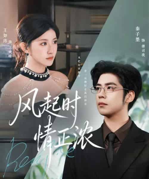 风起时情正浓（79集全）秦子墨＆王如玮＆洪乔-初遇资源网