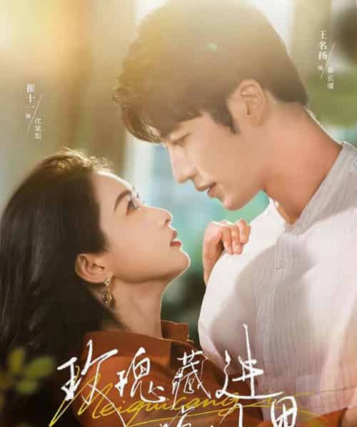 玫瑰藏进晚风里（68集全）王名扬＆崔十一-初遇资源网