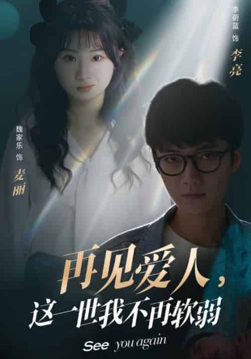 再见爱人,这一世我不再软弱(40集全)李亮&麦丽-初遇资源网