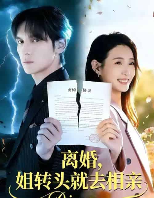 离婚，姐转头就去相亲（80集全）郧怡静＆于散-初遇资源网