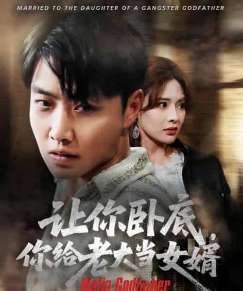 让你卧底你给老大当女婿（75集）羽佳-初遇资源网