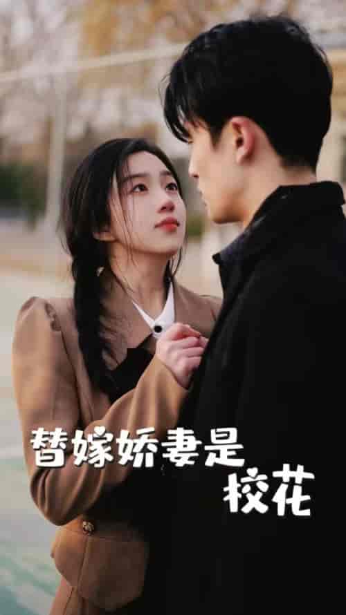 替嫁娇妻是校花（66集）-初遇资源网
