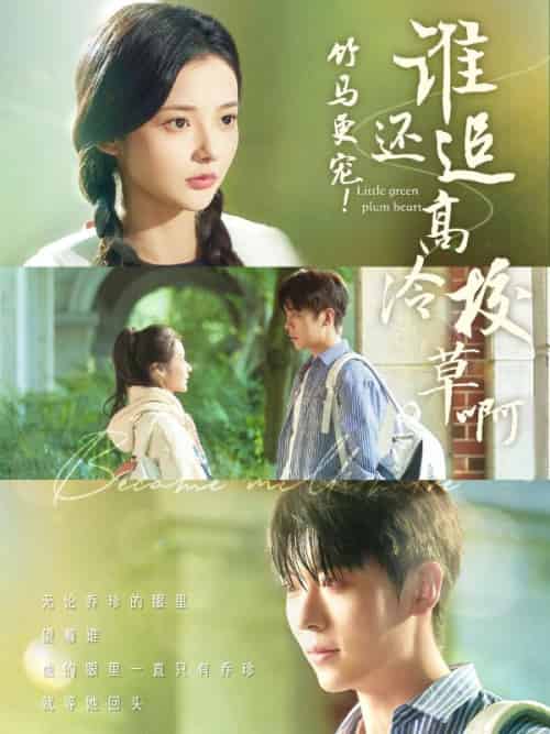 竹马更宠!谁还追高冷校草啊(100集全)秦亦驰&乔珍-初遇资源网