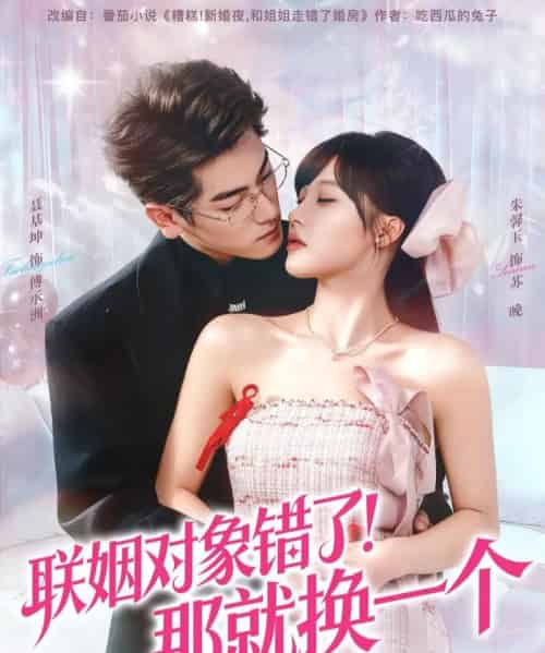 联姻对象错了！那就换一个（93集全）聂基坤＆朱馨玉-初遇资源网