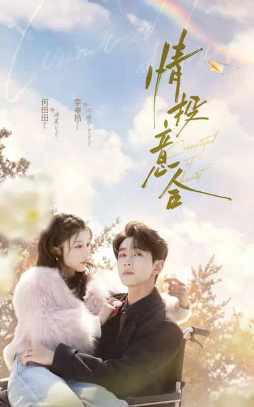 情投意合 情投意合