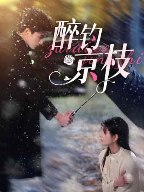 醉钓京枝（93集全）李柏言＆王槿-初遇资源网