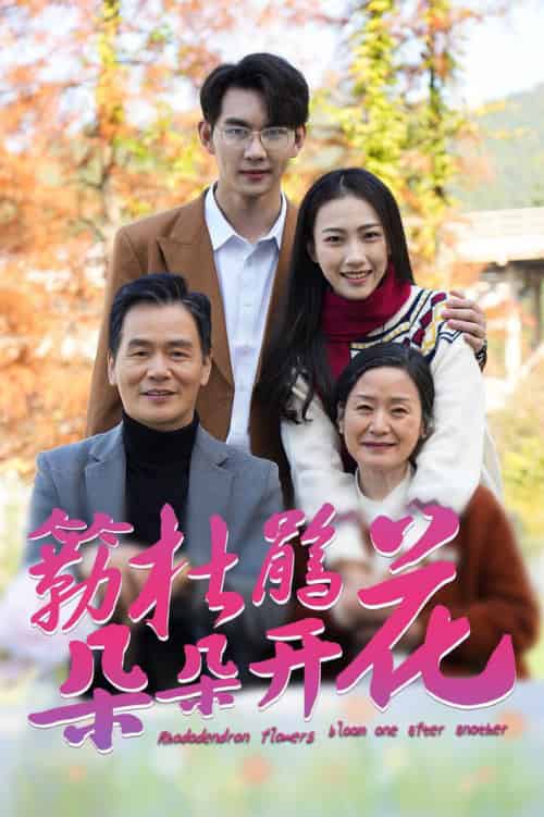 簕杜鹃花朵朵开（38集全）-初遇资源网