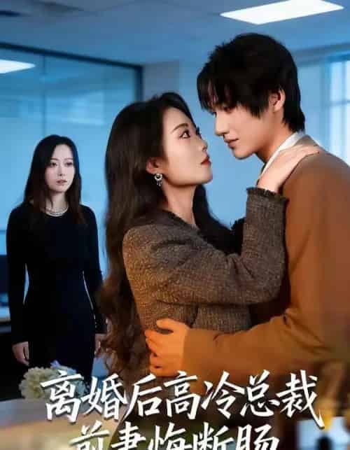 离婚后高冷总裁前妻悔断肠（80集全）王禹桐＆杨舒婷-初遇资源网