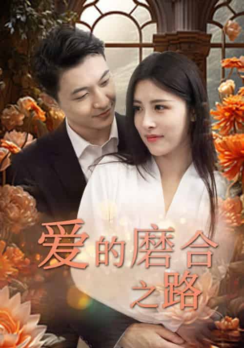 爱的磨合之路（73集全）南宫炎＆沐婉-初遇资源网