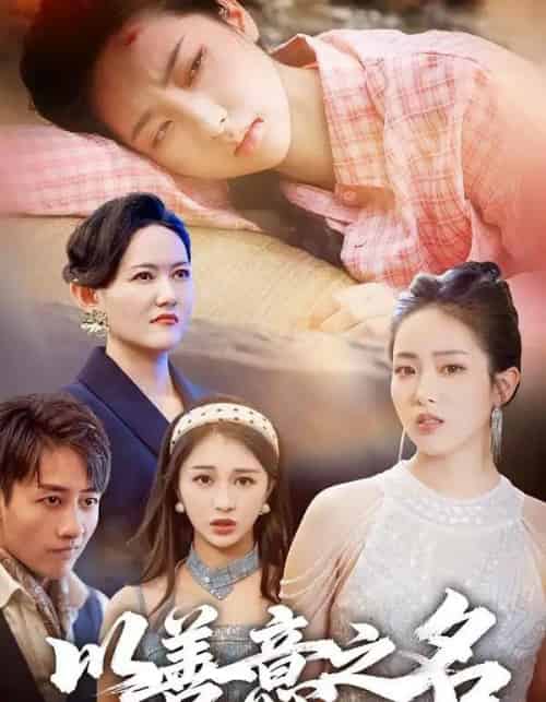 以善意之名（45集全）黄傲＆姚杭辰-初遇资源网