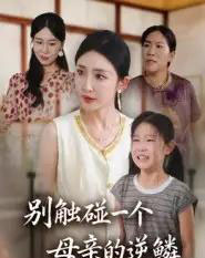 别触碰一个母亲的逆鳞（33集全）苏梦雅-初遇资源网