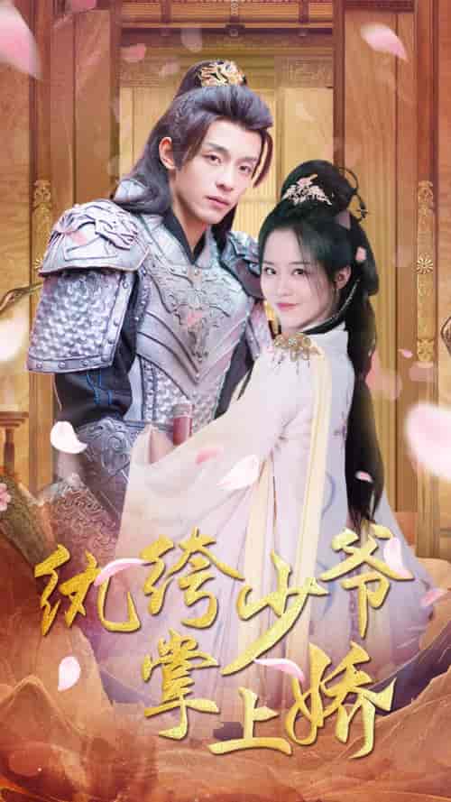 纨绔少爷掌上娇（100集）-初遇资源网