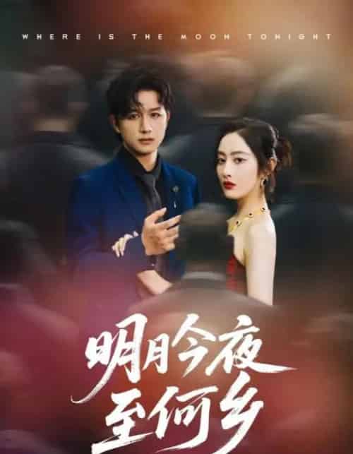 明月今夜至何乡（70集）-初遇资源网