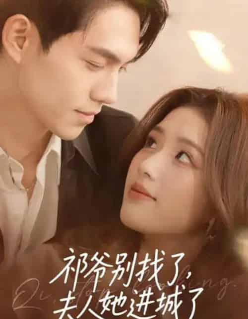 祁爷别找了，夫人她进城了（70集全）林瑞淇＆徐汇强-初遇资源网