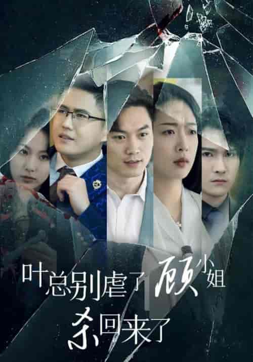 叶总别虐了顾小姐杀回来了(71集全)叶辰&顾倾城-初遇资源网