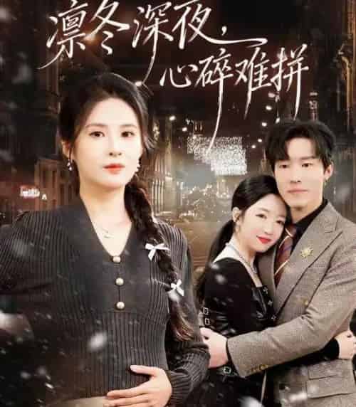 凛冬深夜，心碎难拼（64集全）陈辰＆陈酉昔-初遇资源网