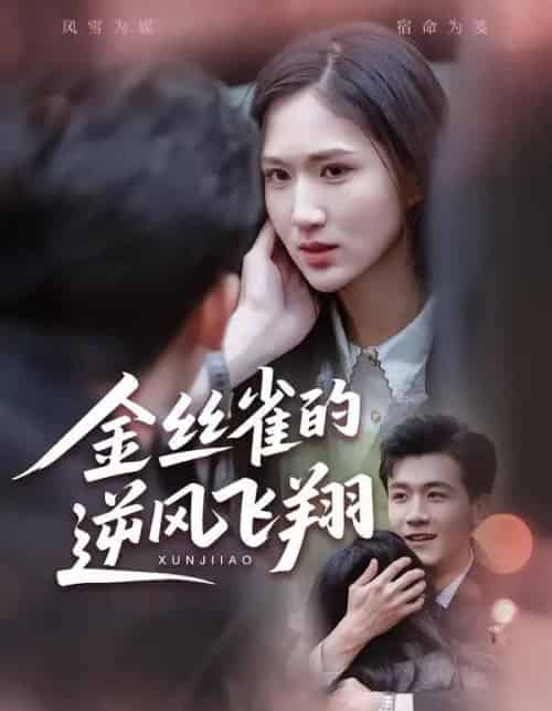 金丝雀的逆风飞翔（80集全）廖帕姿＆曹润辉-初遇资源网