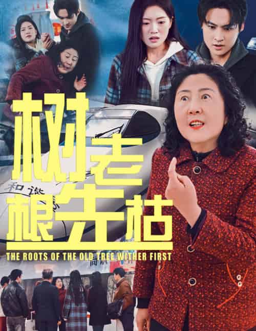 树老根先枯（33集）-初遇资源网