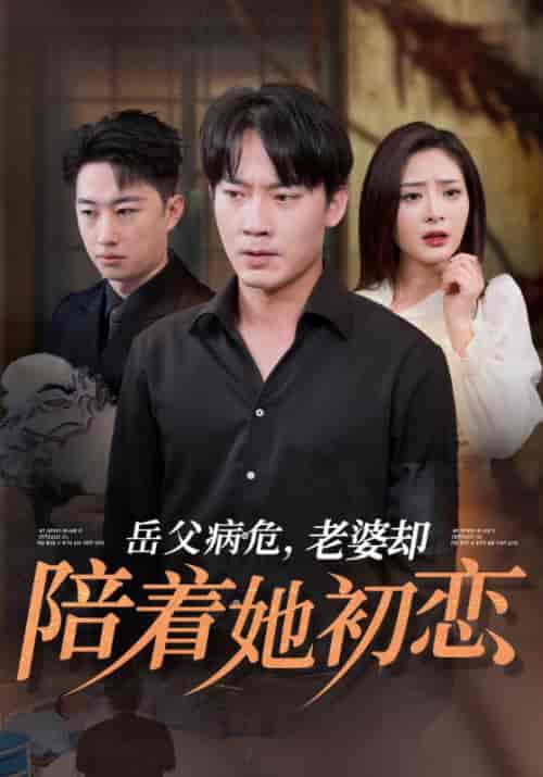 岳父病危，老婆却陪着她初恋（31集全）陆峰白＆宋绮梦-初遇资源网