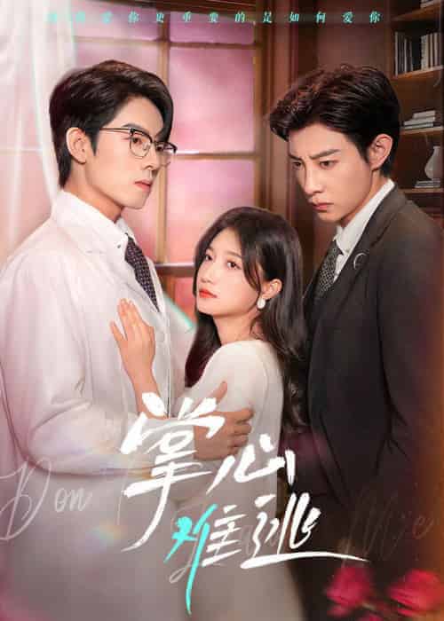 掌心难逃(63集全)马小宇&兰岚&曾辉-初遇资源网