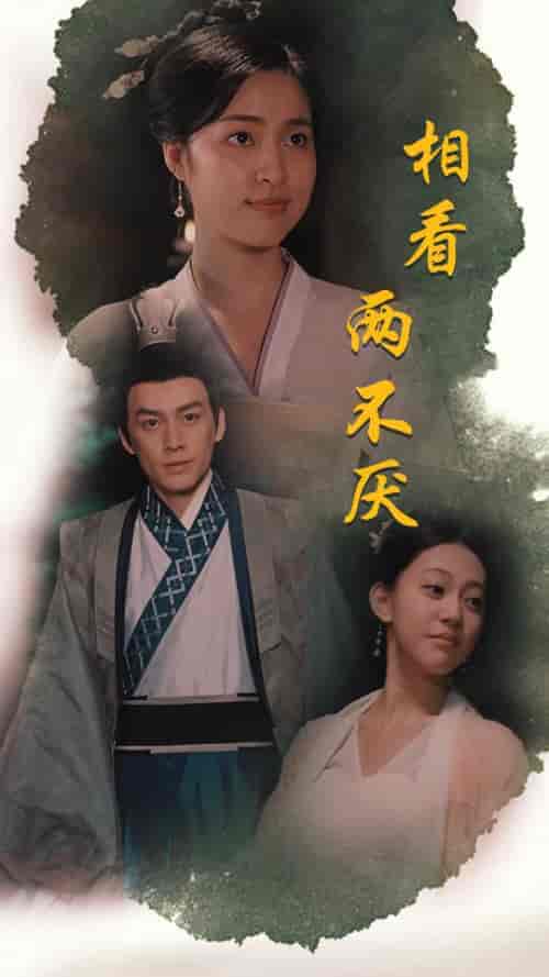 相看两不厌＆这个王妃不好惹（85集）-初遇资源网