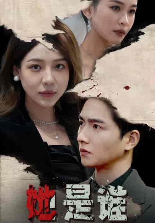 她是谁（79集）-初遇资源网