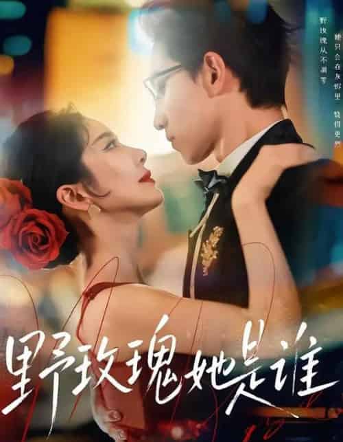 野玫瑰她是谁（84集全）李叙洲＆王小橙-初遇资源网