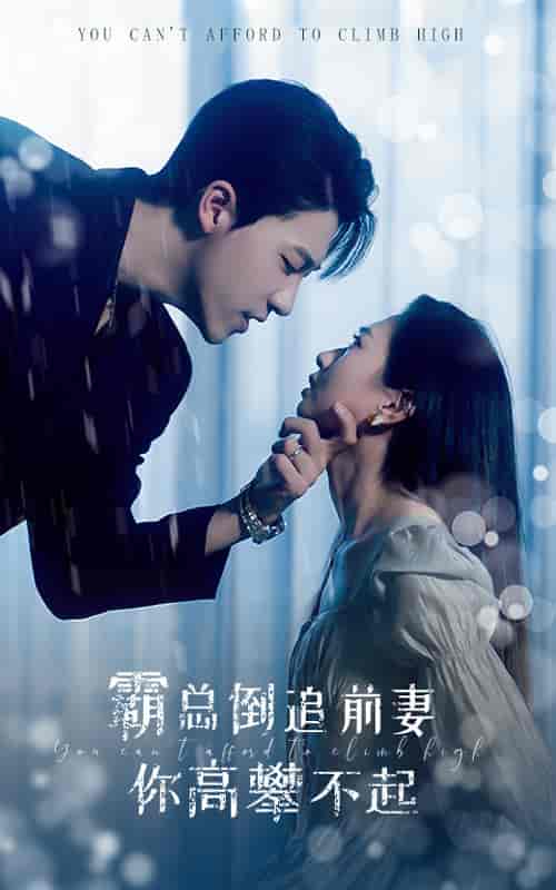 霸总倒追前妻你高攀不起（81集）鲍芝悦-初遇资源网