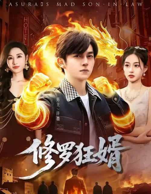 修罗狂婿（114集全）鸡翅＆文昕-初遇资源网