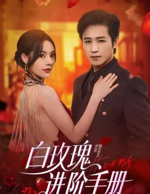 白玫瑰进阶手册（64集）古铭瀚＆赵西-初遇资源网