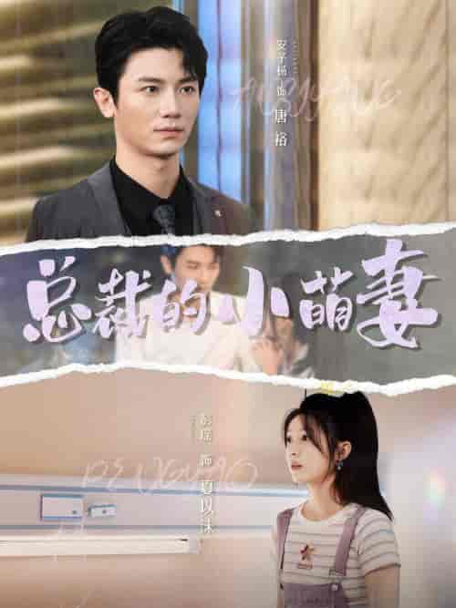 总裁的小萌妻（89集全）彭瑶＆安子杨-初遇资源网