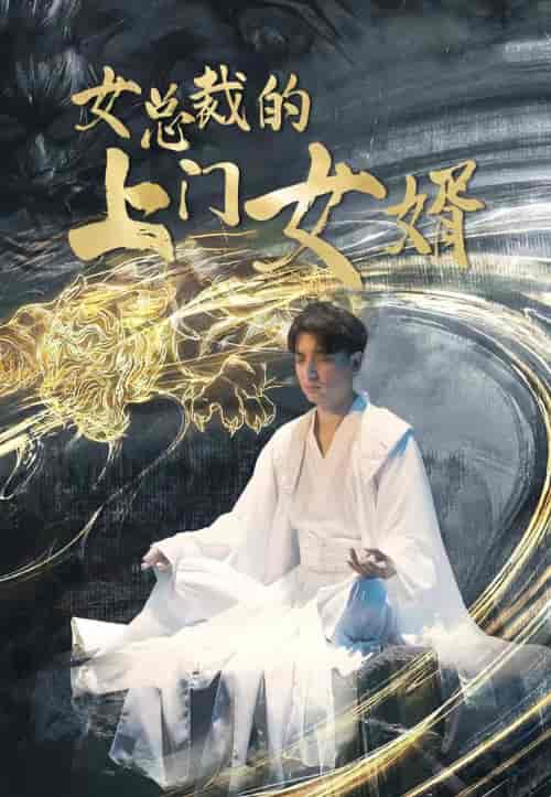 女总裁的上门女婿（104集）-初遇资源网