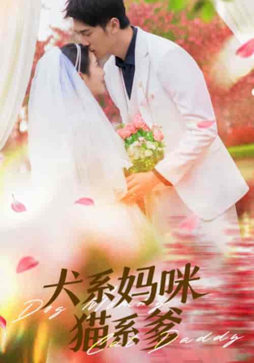 犬系妈咪猫系爹(79集全)顾子辰&赵灵儿-初遇资源网