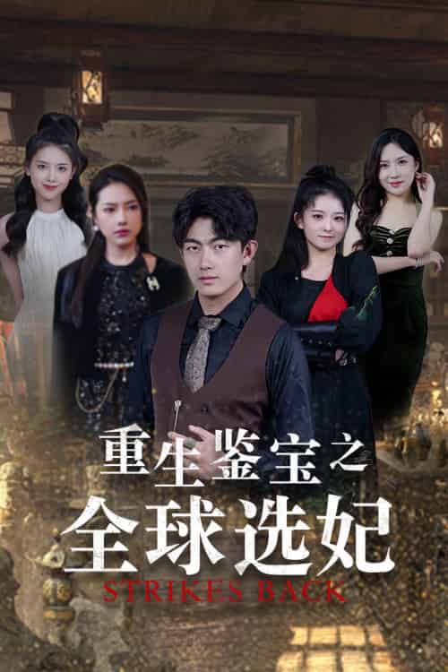 重生鉴宝之全球选妃＆鉴宝之逆转人生（80集）-初遇资源网