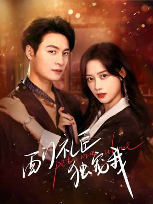 西门礼臣独宠我(80集全)刘叁肆&康渝茜-初遇资源网