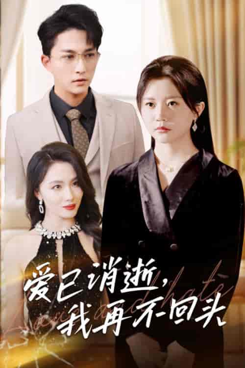 爱已消逝我再不回头（31集全）李家圆子-初遇资源网