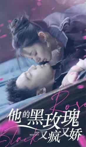 他的黑玫瑰又疯又娇（81集）-初遇资源网