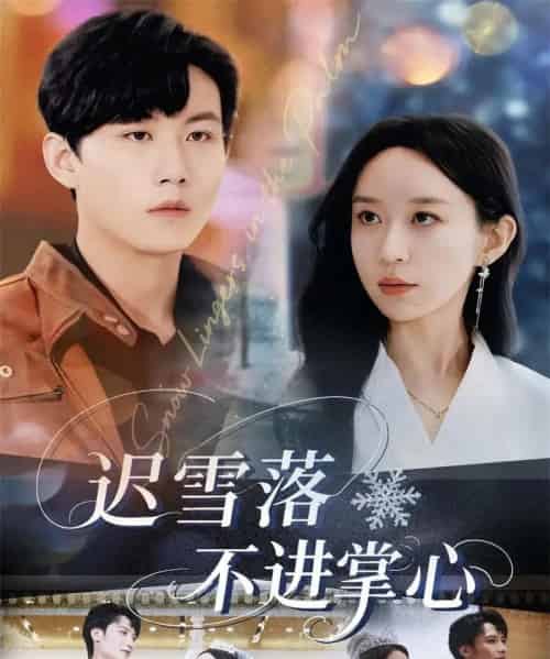 迟雪落不进掌心（79集全）李沐珩＆王瀚迎-初遇资源网