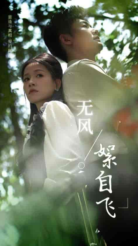 无风絮自飞（36集）-初遇资源网
