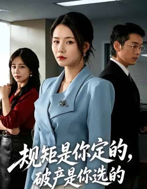 规矩是你定的,破产是你选的(83集全)王姝懿&赵焕城-初遇资源网